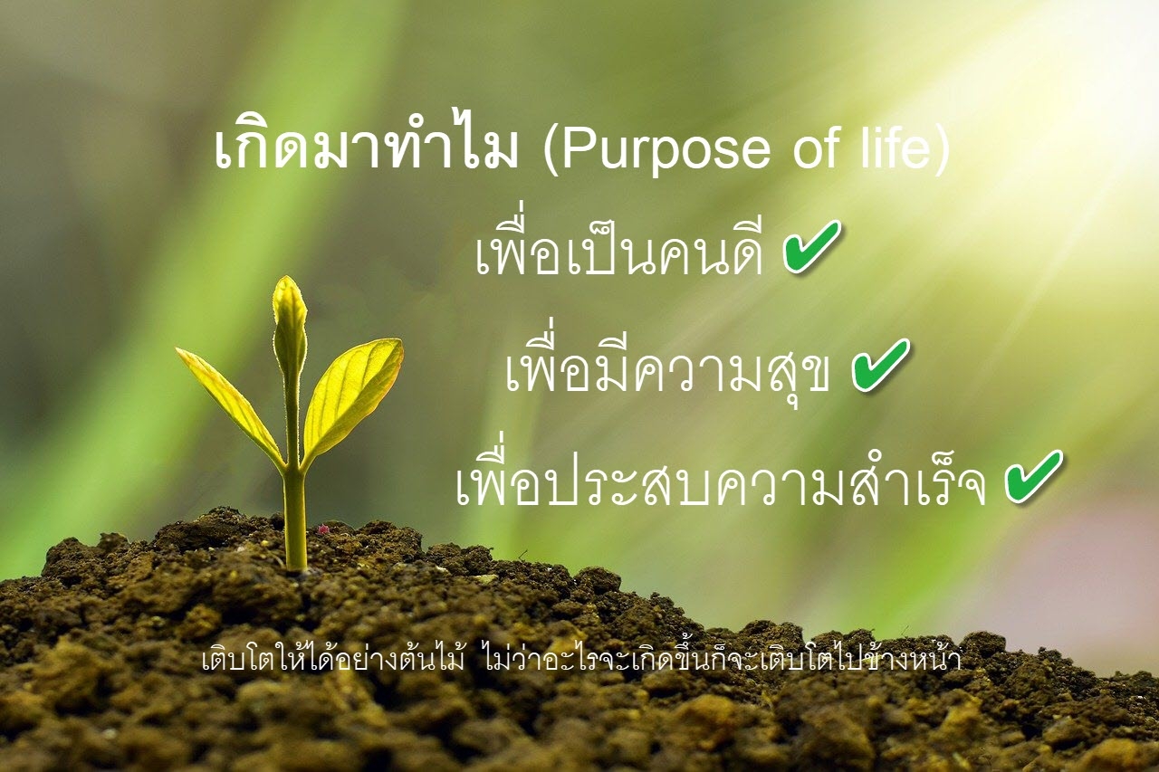 Purpose Of Life | Day 30 cover image